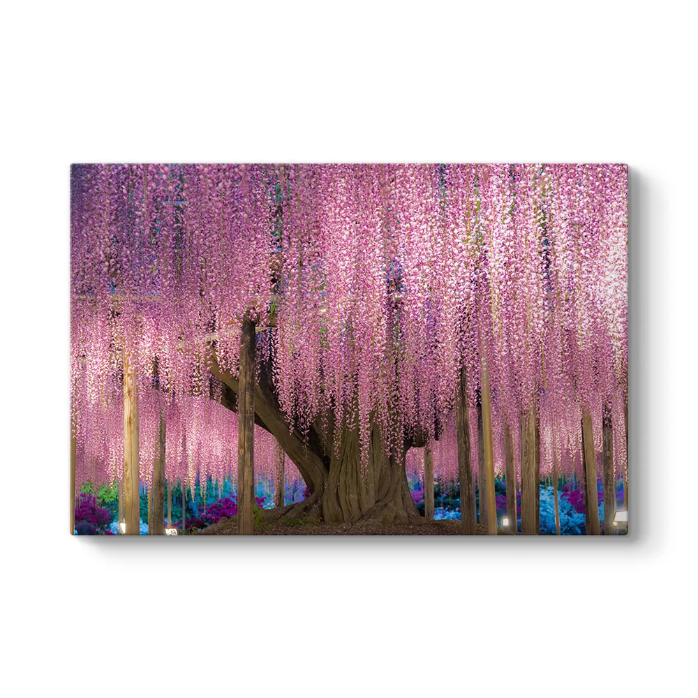 Pembe Wisteria Ağacı Tablosu - Model 1